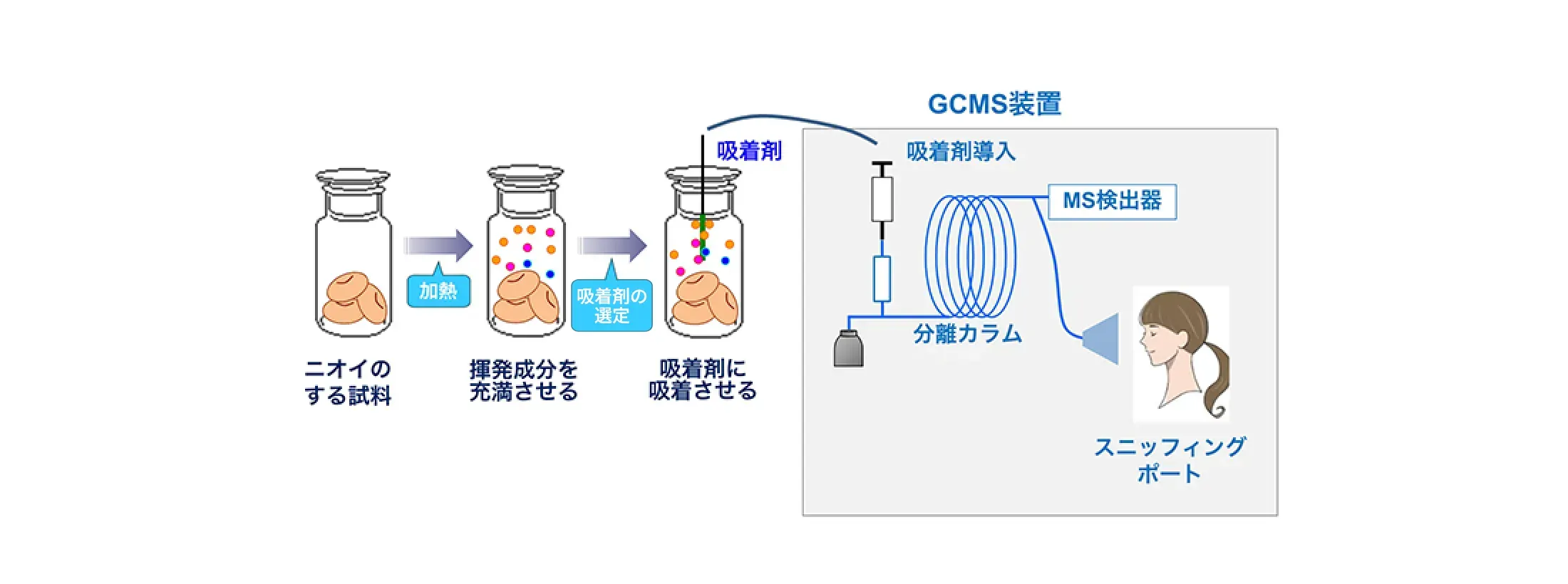 GCMS装置(GCSMS)のフロー図